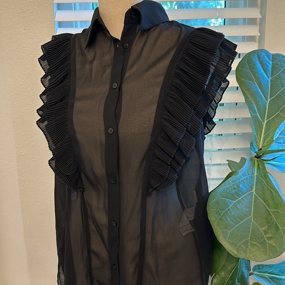 Zara Sheer Ruffle Top - Picture 1 of 5
